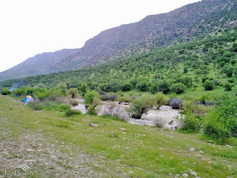کاکارضا سلسله