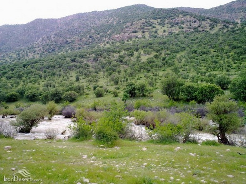 کاکارضا سلسله