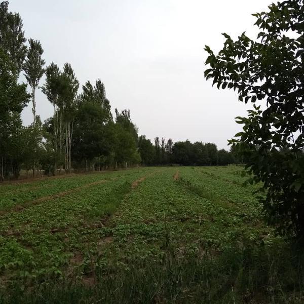 داسداران خرمدره