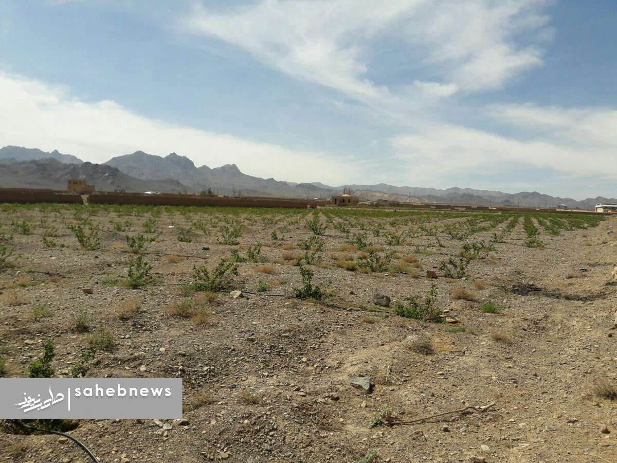 کاخ تاج آباد نطنز
