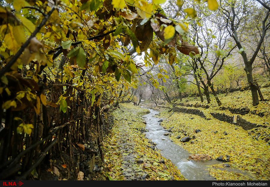 روستای سنج البرز