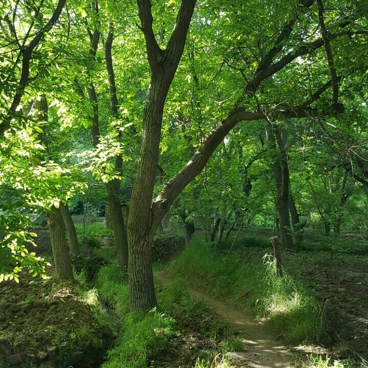 روستای سنج البرز