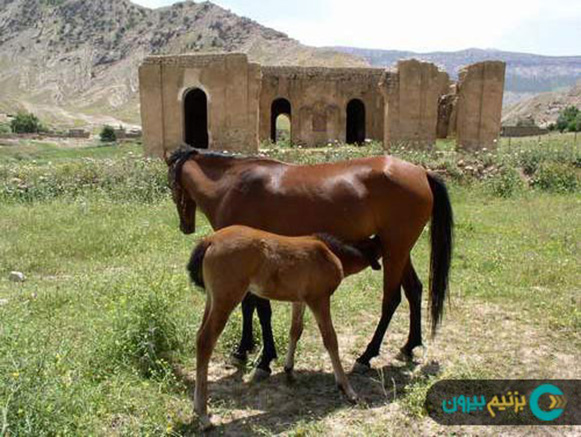 قلعه جهانگیر آباد دره شهر