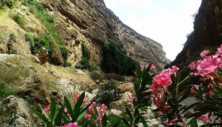 تنگ زرانگوش ایلام