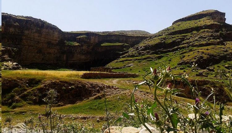 تنگ زرانگوش ایلام