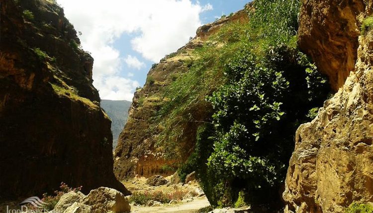 تنگ زرانگوش ایلام