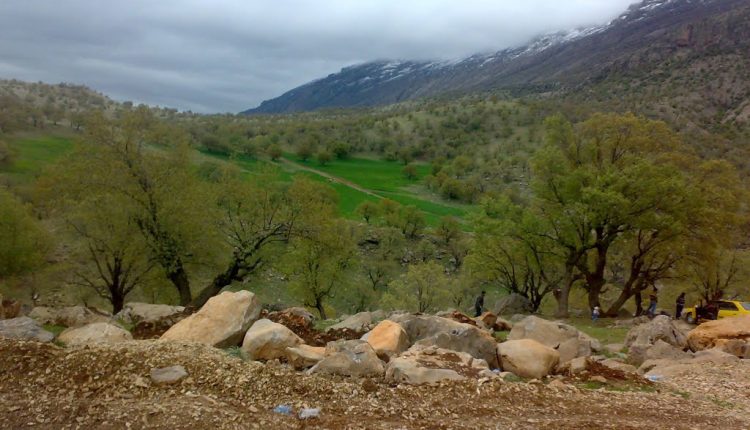 تنگ لارت بدره