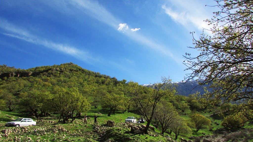 تنگ لارت بدره