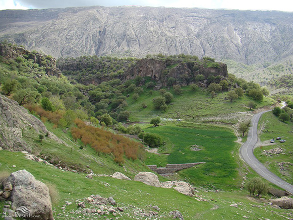 تنگ لارت بدره