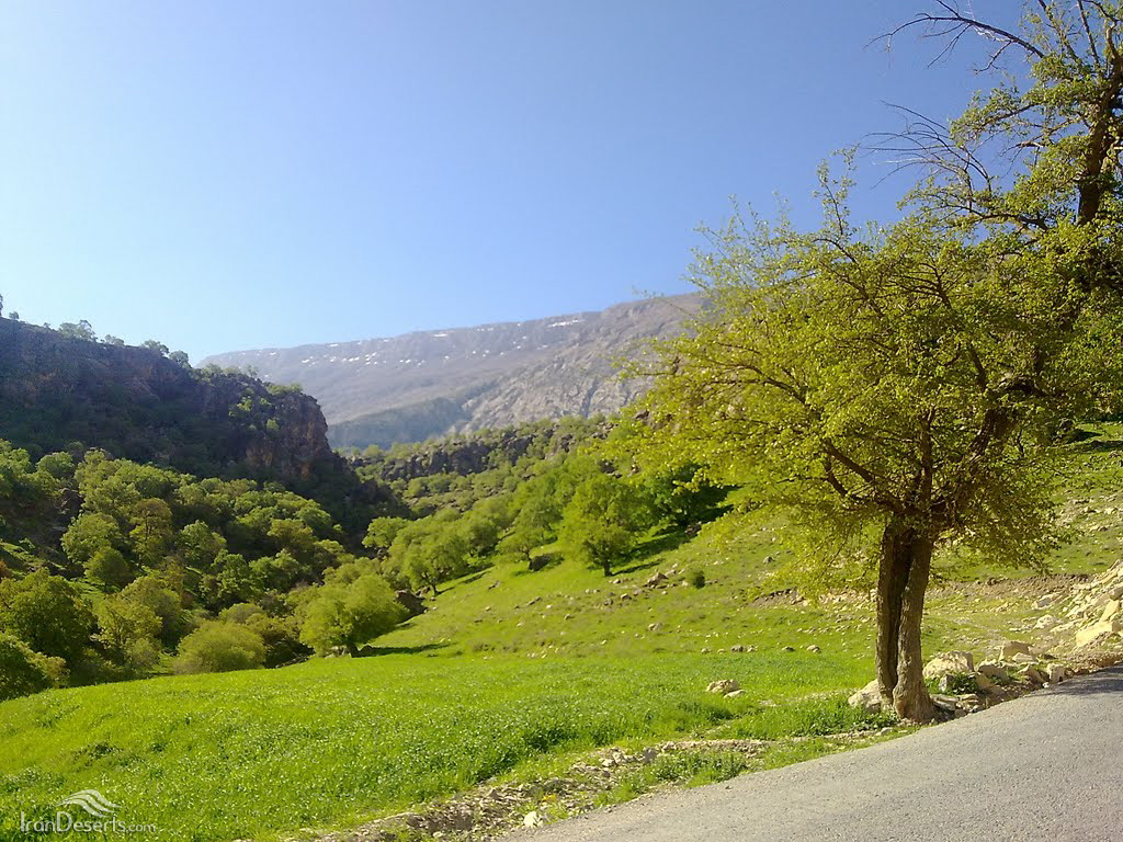 تنگ لارت بدره