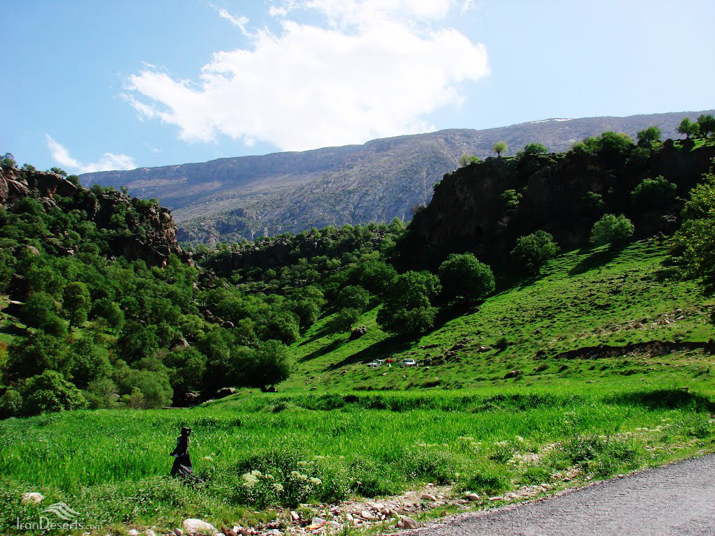 تنگ لارت بدره