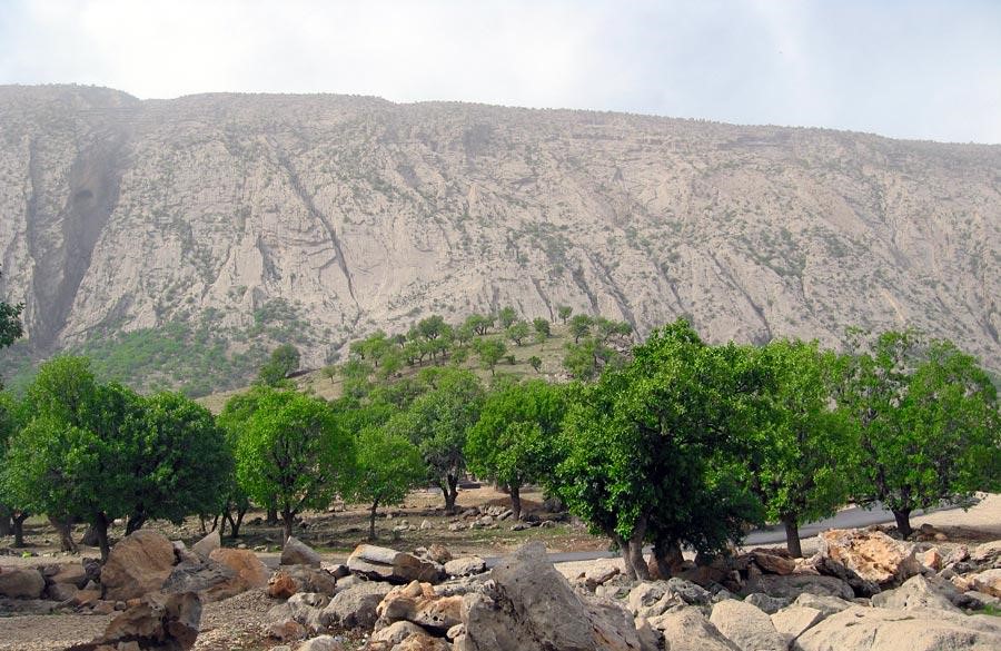 تنگ دربند بدره