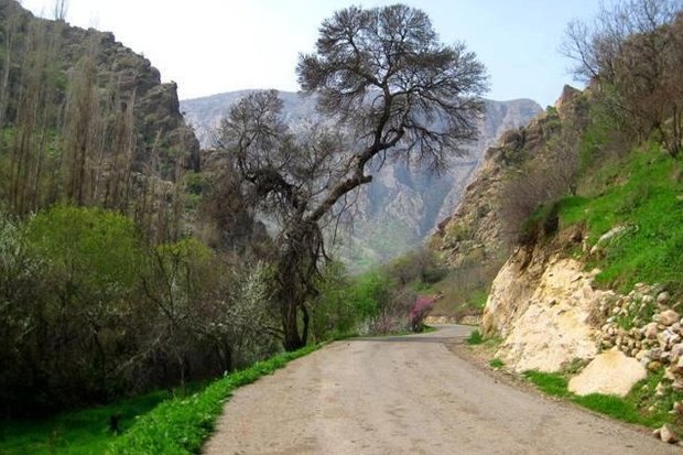 تنگ دربند بدره