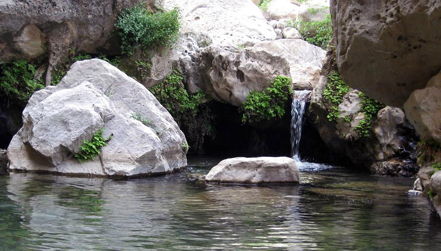تنگ دربند بدره