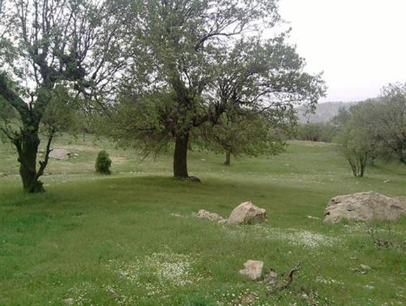 گورستان کان گنبد ملکشاهی