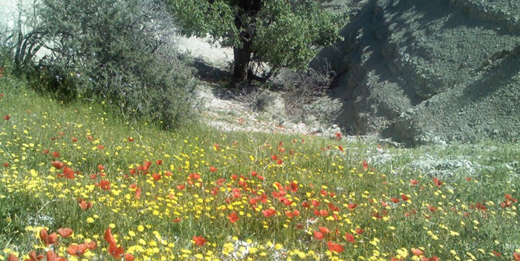 گورستان کان گنبد ملکشاهی