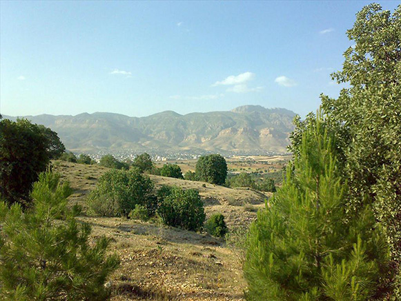 پارک چغاسبز ایلام