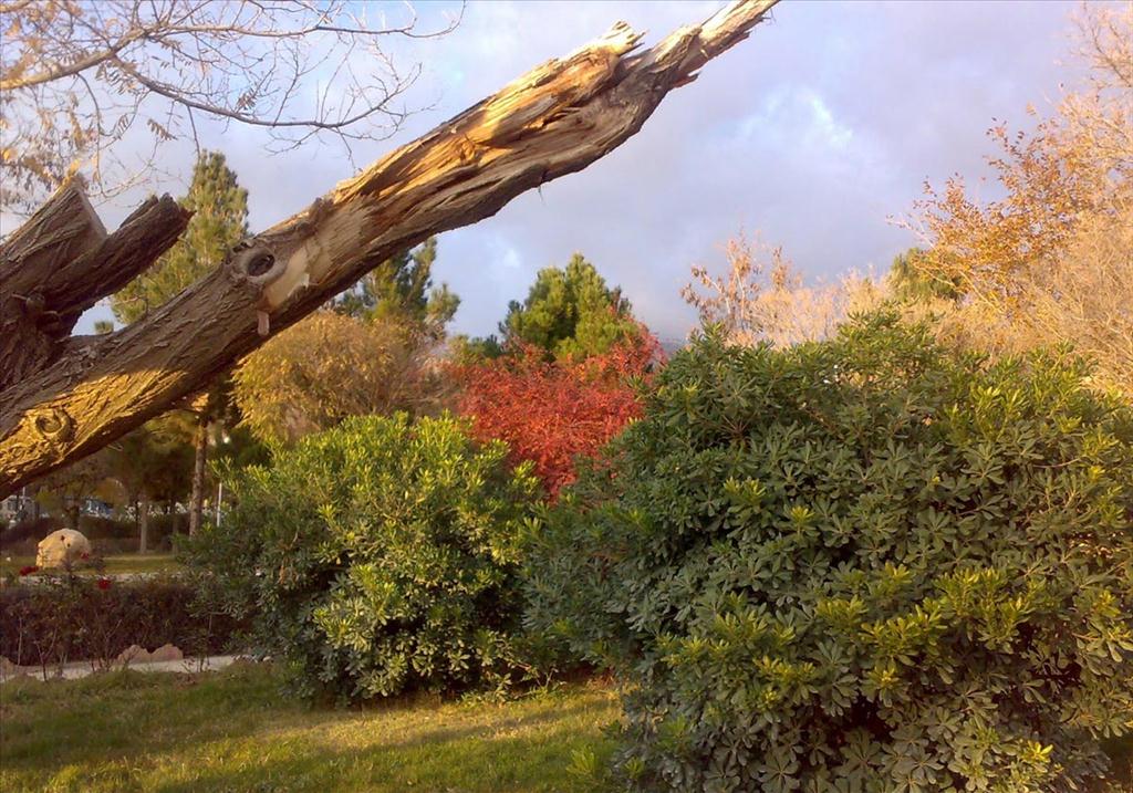 پارک چغاسبز ایلام