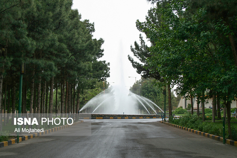 پارک شهید چمران ساوه