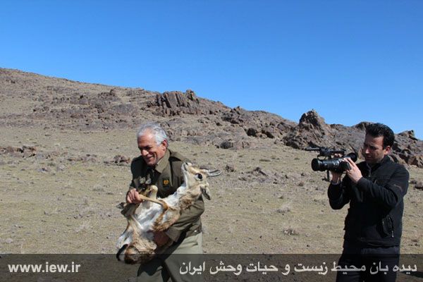 منطقه حفاظت شده باشگل