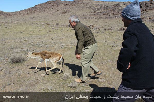 منطقه حفاظت شده باشگل