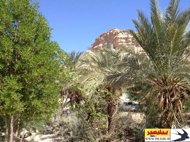 بقعه بی بی دولت آبدان