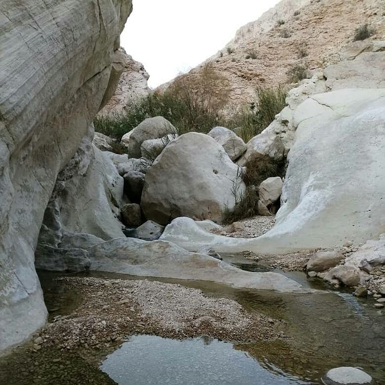 تنگ هیخ