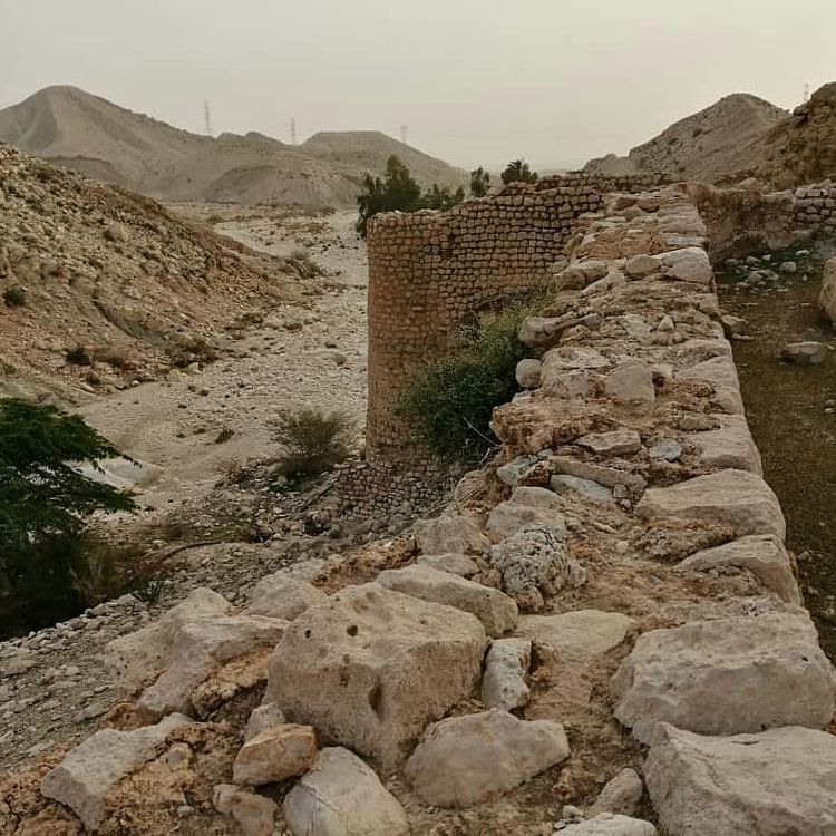 تنگ هیخ