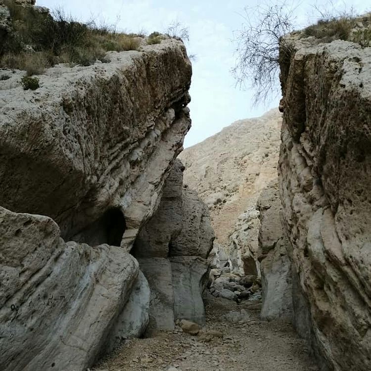 تنگ هیخ