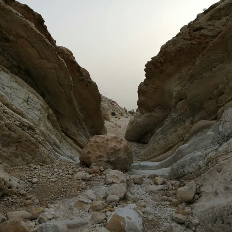 تنگ هیخ