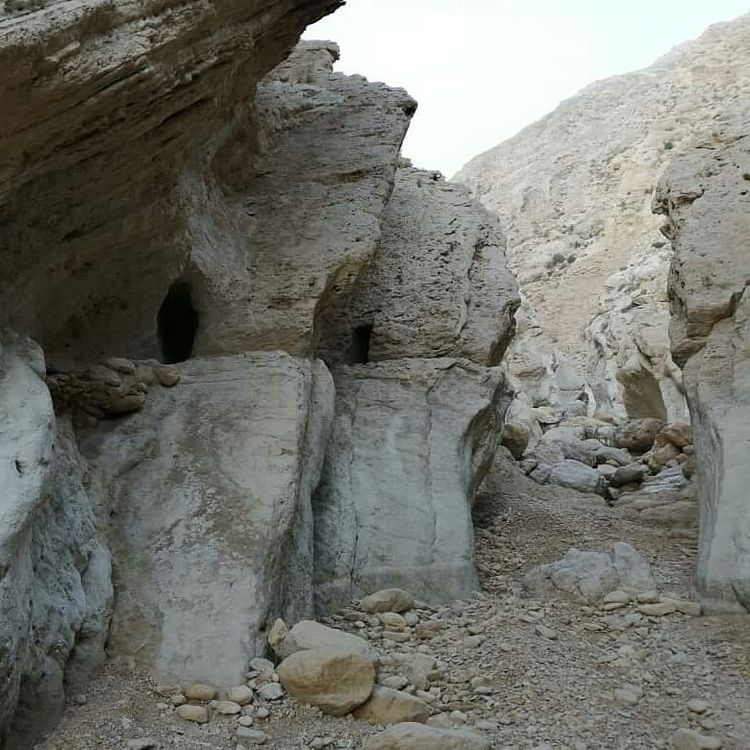 تنگ هیخ