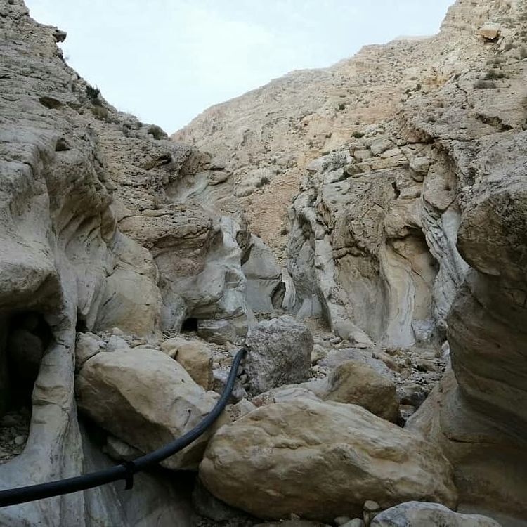 تنگ هیخ