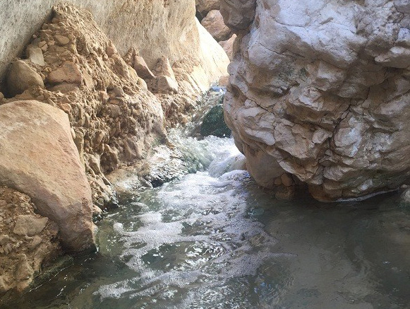 چشمه آبگرم گنوی