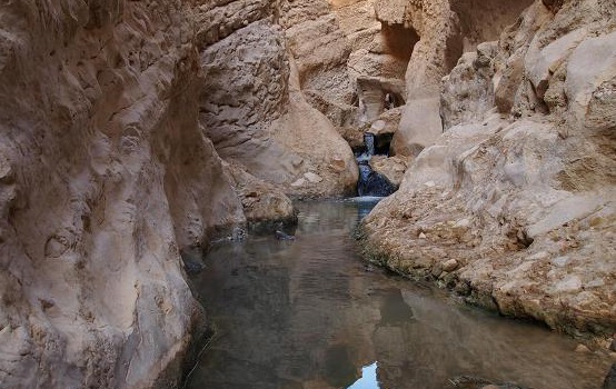 چشمه آبگرم گنوی