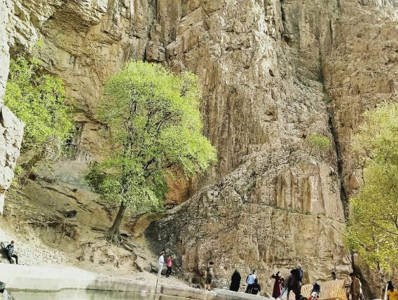 درب صوفه گناباد