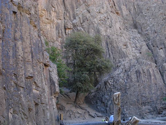 قبر پیران ویسه