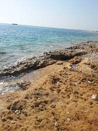 ساحل پرک کنگان