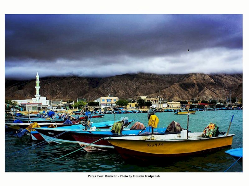 ساحل پرک کنگان