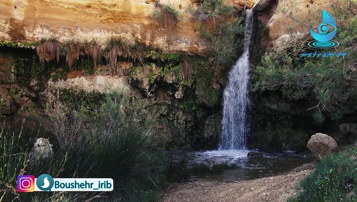 چشمه زیرراه دشتستان