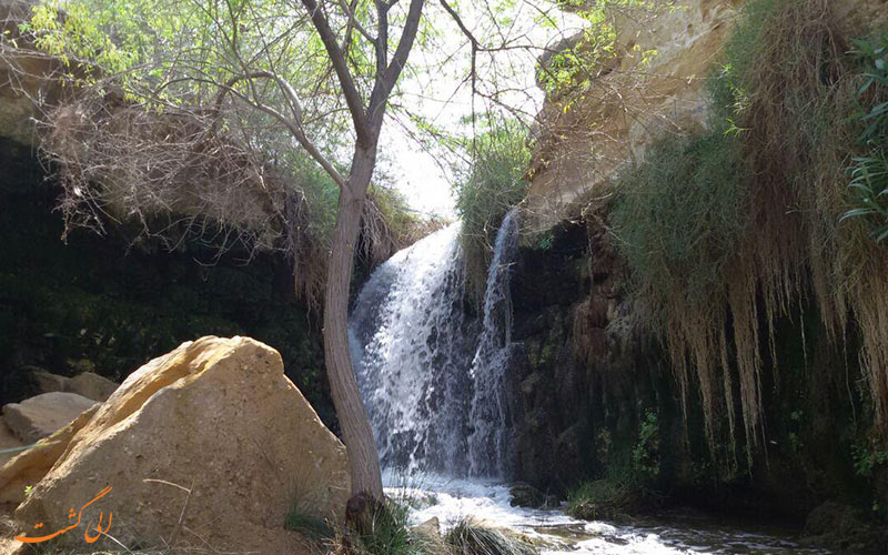 چشمه زیرراه دشتستان