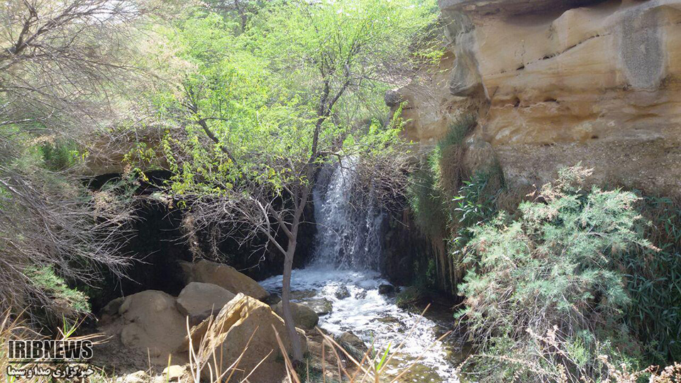 چشمه زیرراه دشتستان