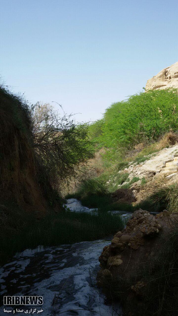 چشمه زیرراه دشتستان