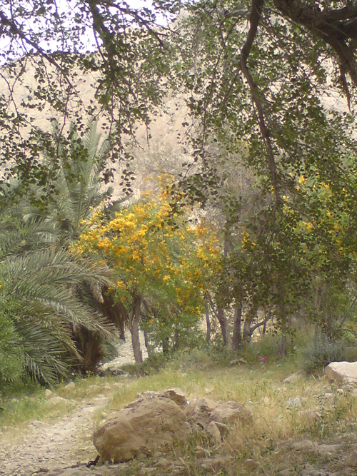امامزاده امیر دیوان جاشک