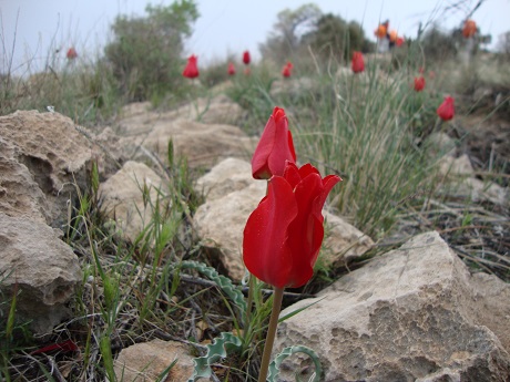 غارهای نمکی بیرمی