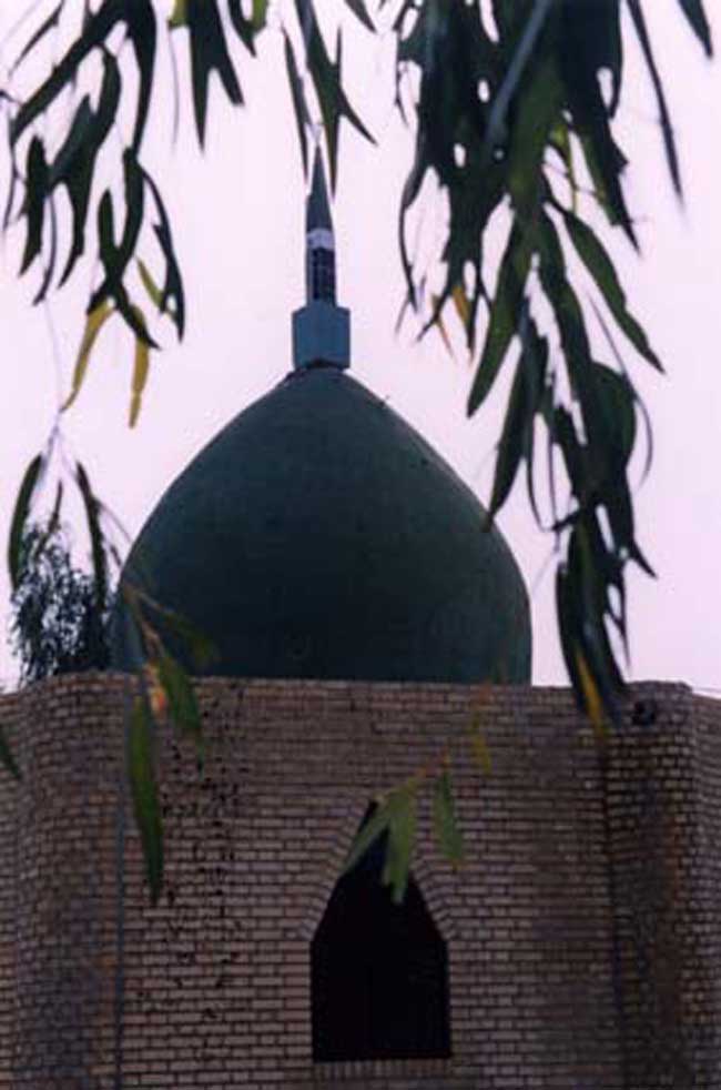 امامزاده زید بن علی تنگستان