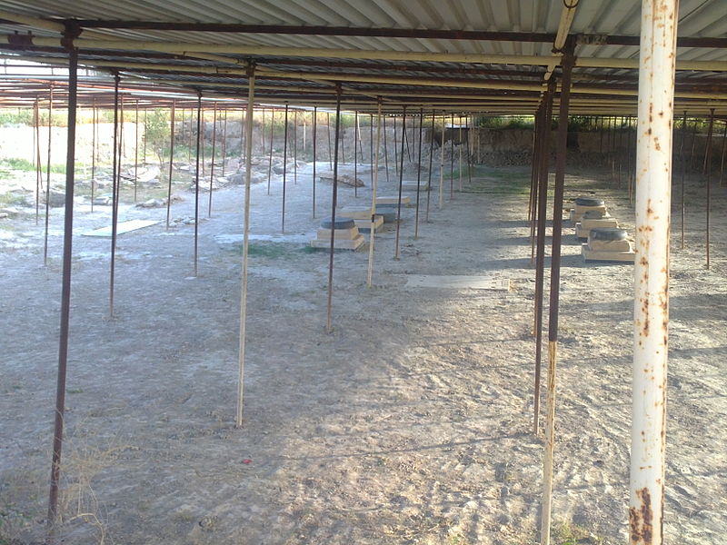 کاخ کوروش دشتستان