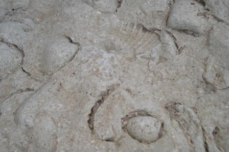 کوه قلعه دشتستان