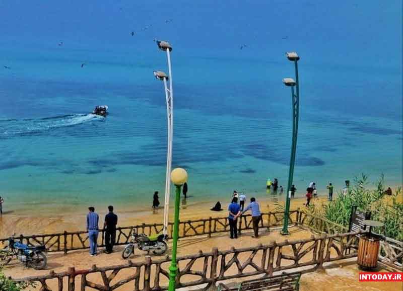 ریشهر بوشهر