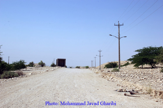 بنگه دشتی