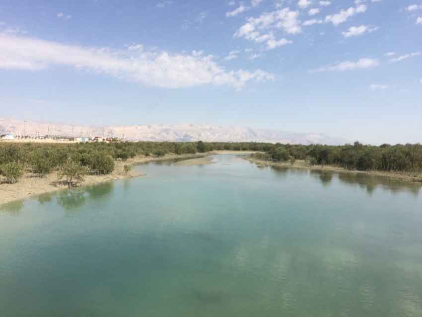 روستای هاله عسلویه